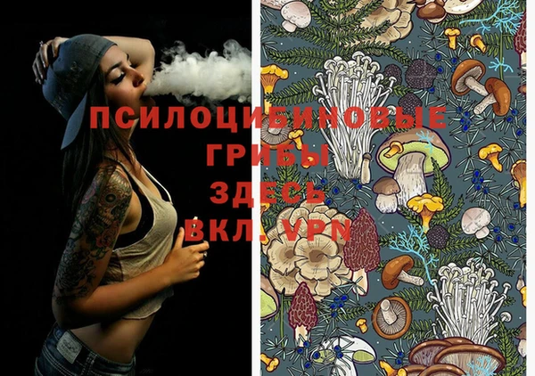 МДМА Алексеевка