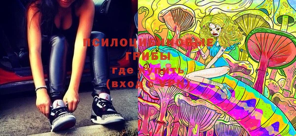 мдпв Приозерск