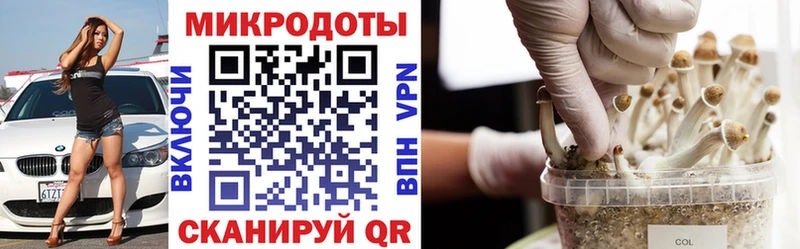 Купить  Динская  Псилоцибиновые грибы прущие грибы 